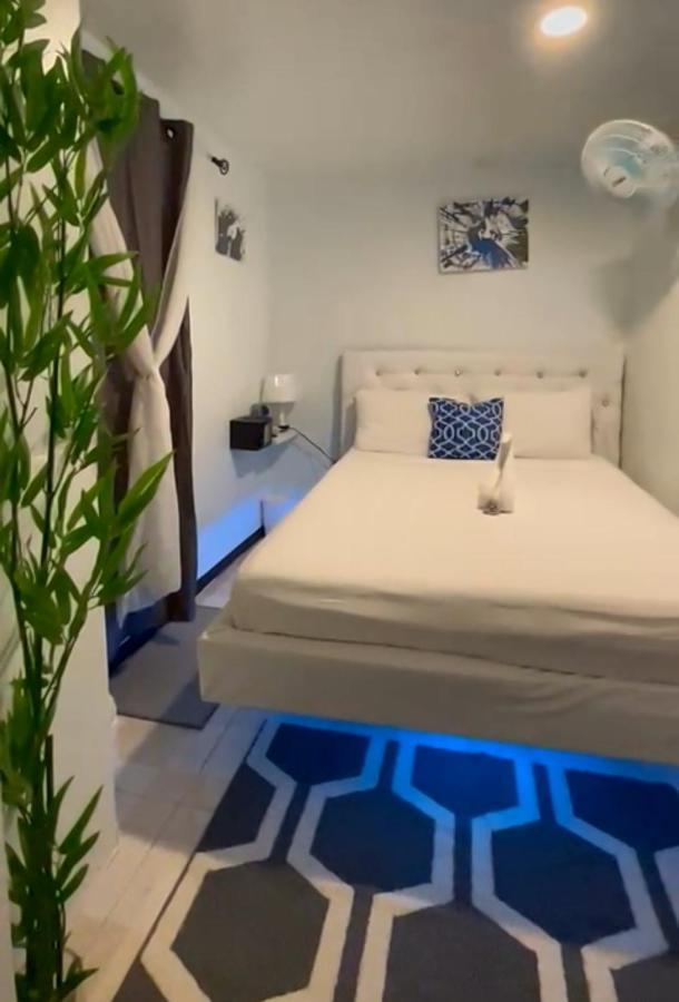 Bed and Breakfast Blue Royalty Portmore Zewnętrze zdjęcie